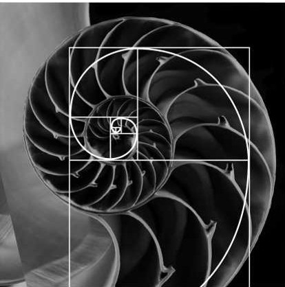 Digital work by Means Design